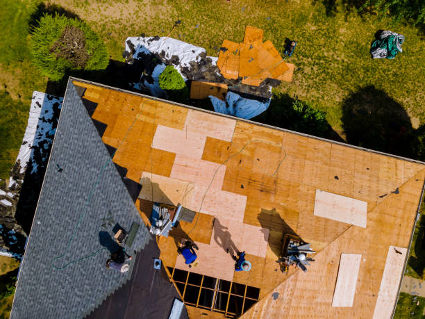Best Tile Roofing Contractor  in Rden, WA